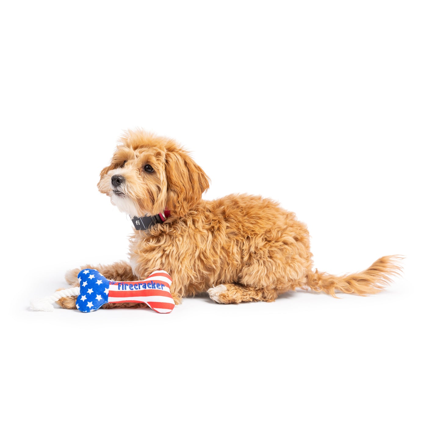 Tiny Tuff Lil' Firecracker Bone