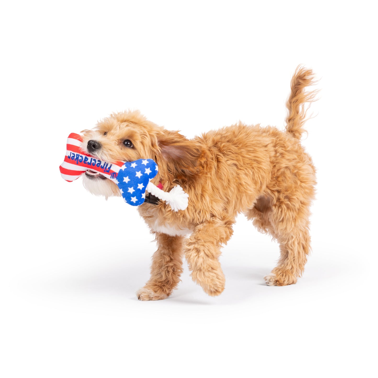 Tiny Tuff Lil' Firecracker Bone
