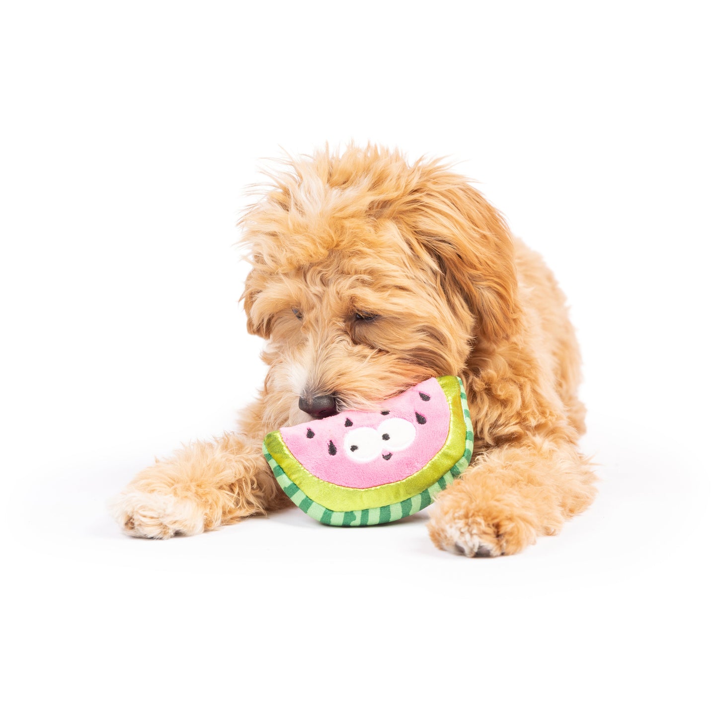Tiny Tuff Walter Melon