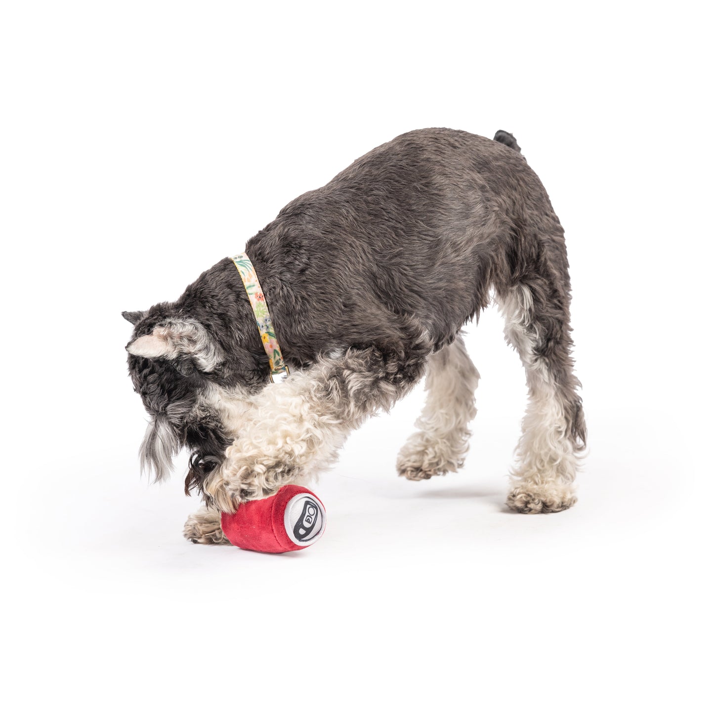 Tiny Tuff Dr Pooper