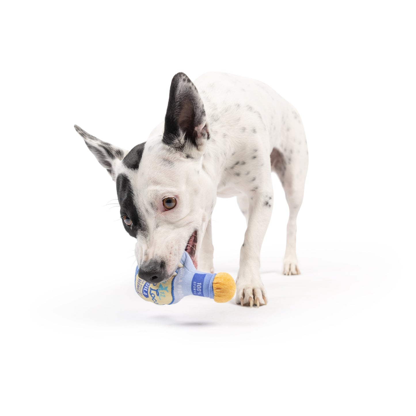 Tiny Tuff Fido Loco Tequila