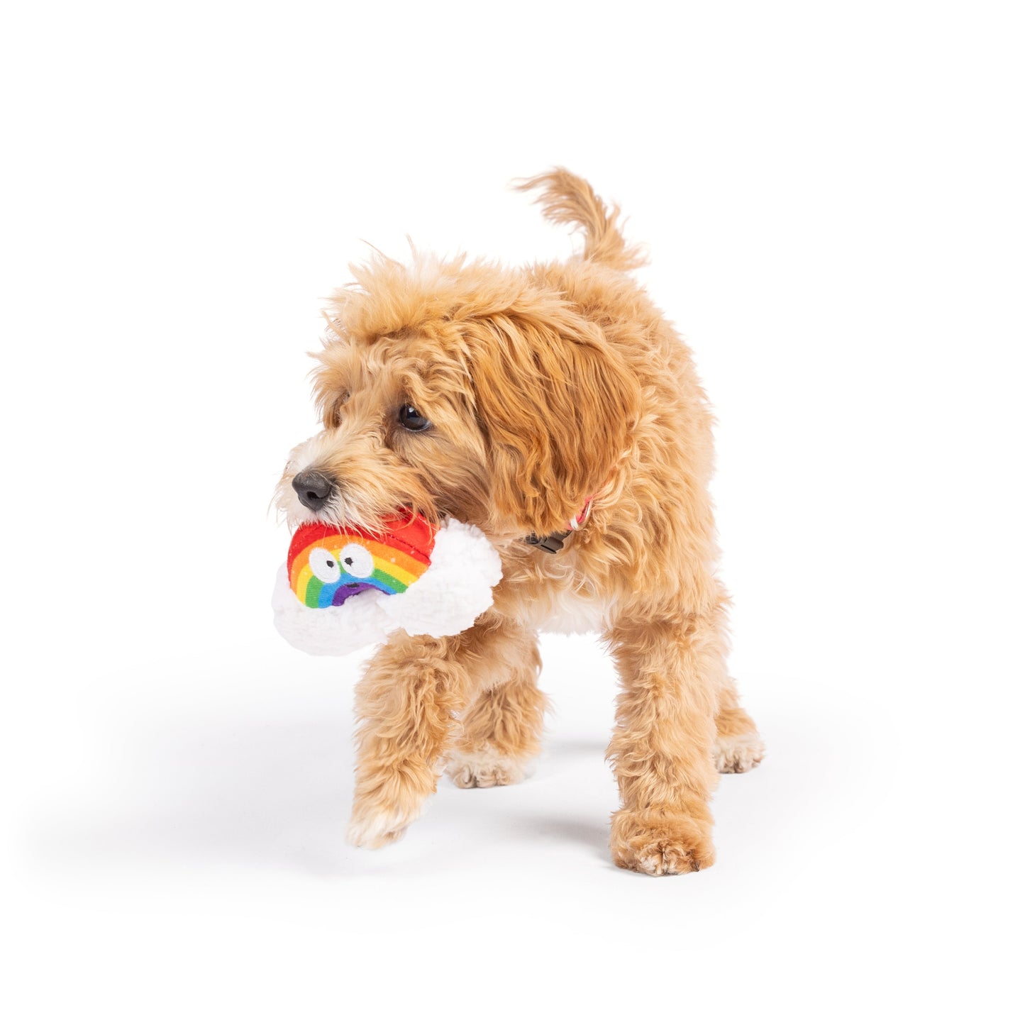 Tiny Tuff Happy Rainbow