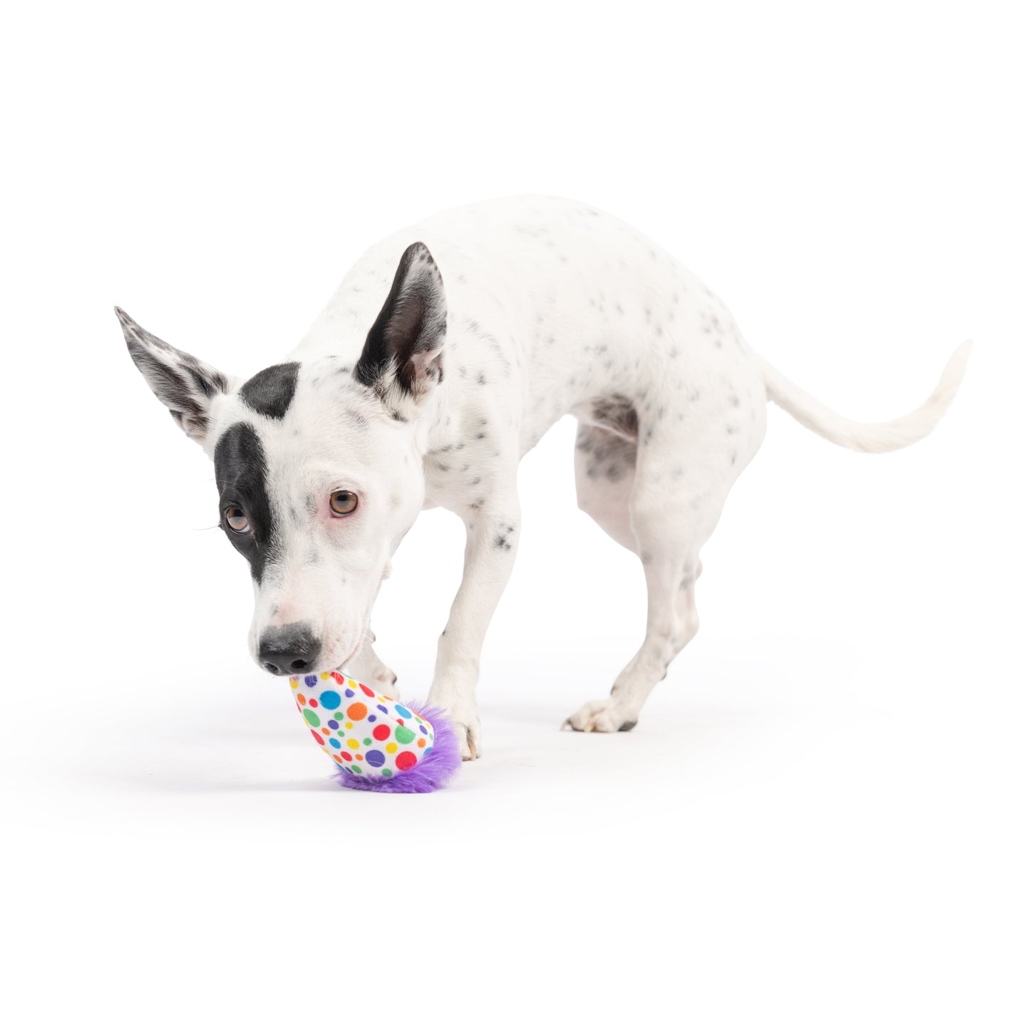 Tiny Tuff Polka Dot Party Hat