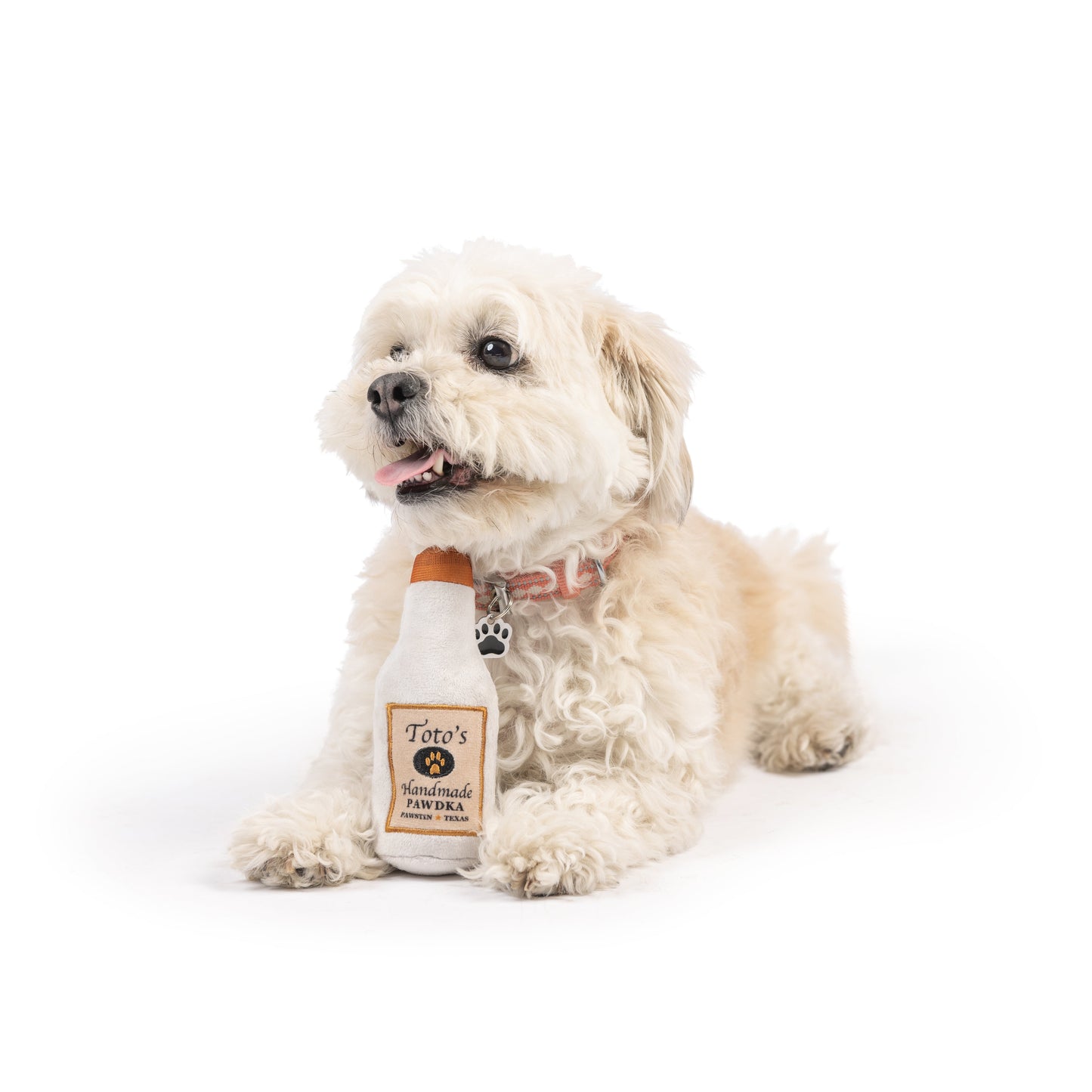 Tiny Tuff Toto's Pawdka