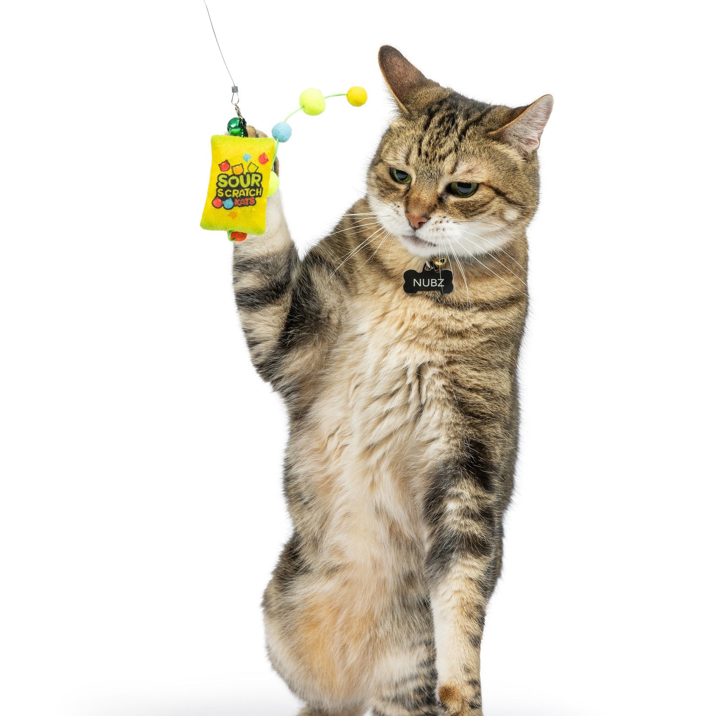 Teaser Sour Scratch Wand Cat Toy