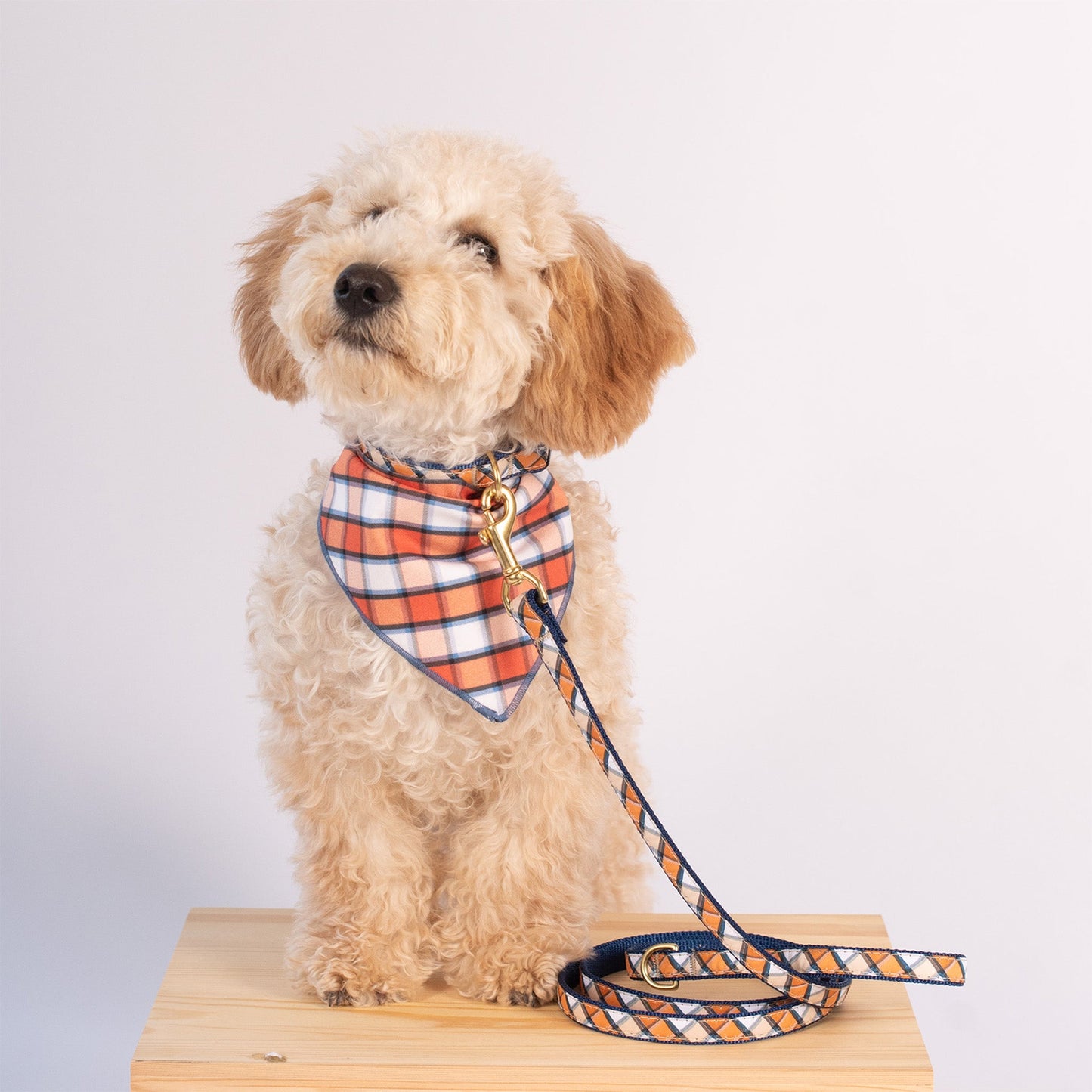 Terracotta Plaid Bandana