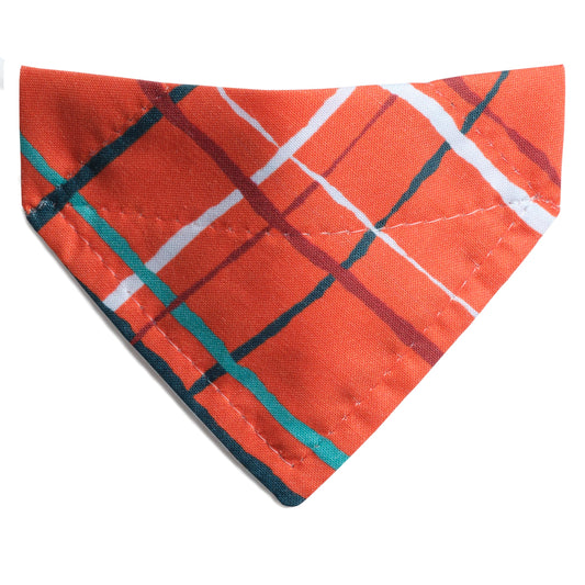 The That's a Wrap - Cat Bandana
