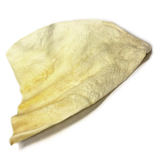 Cow Ears (Bulk) - Pack of 25