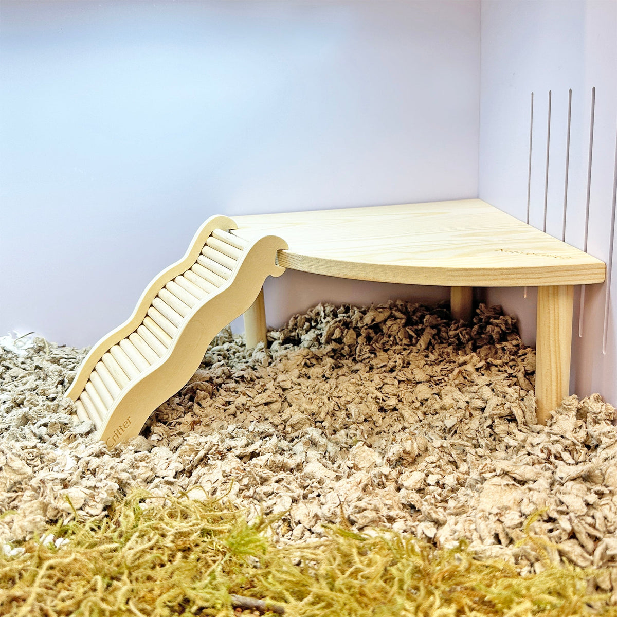 Exotic Nutrition Wave Ladder in a cage with bedding