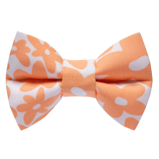 The Wild Child - Bow Tie