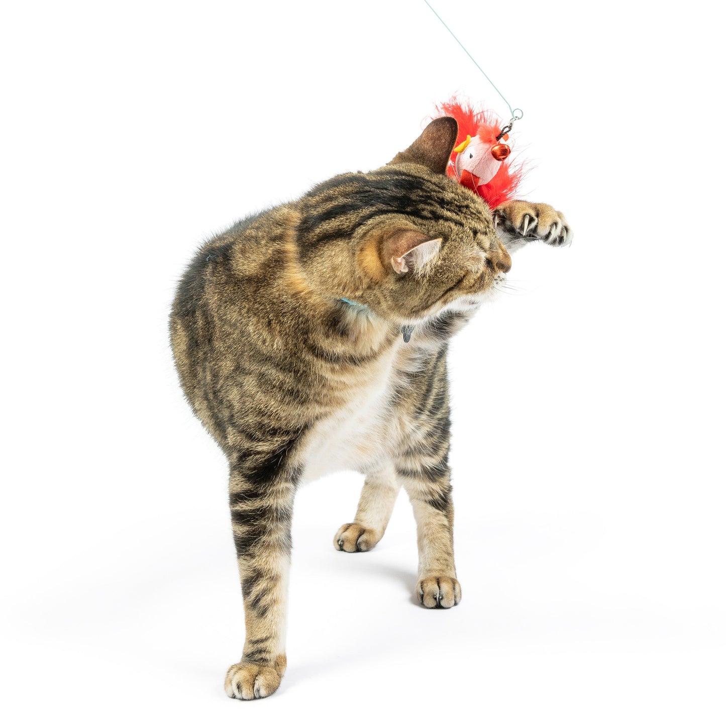 Wire Birdy & Mouse Wand Cat Toy