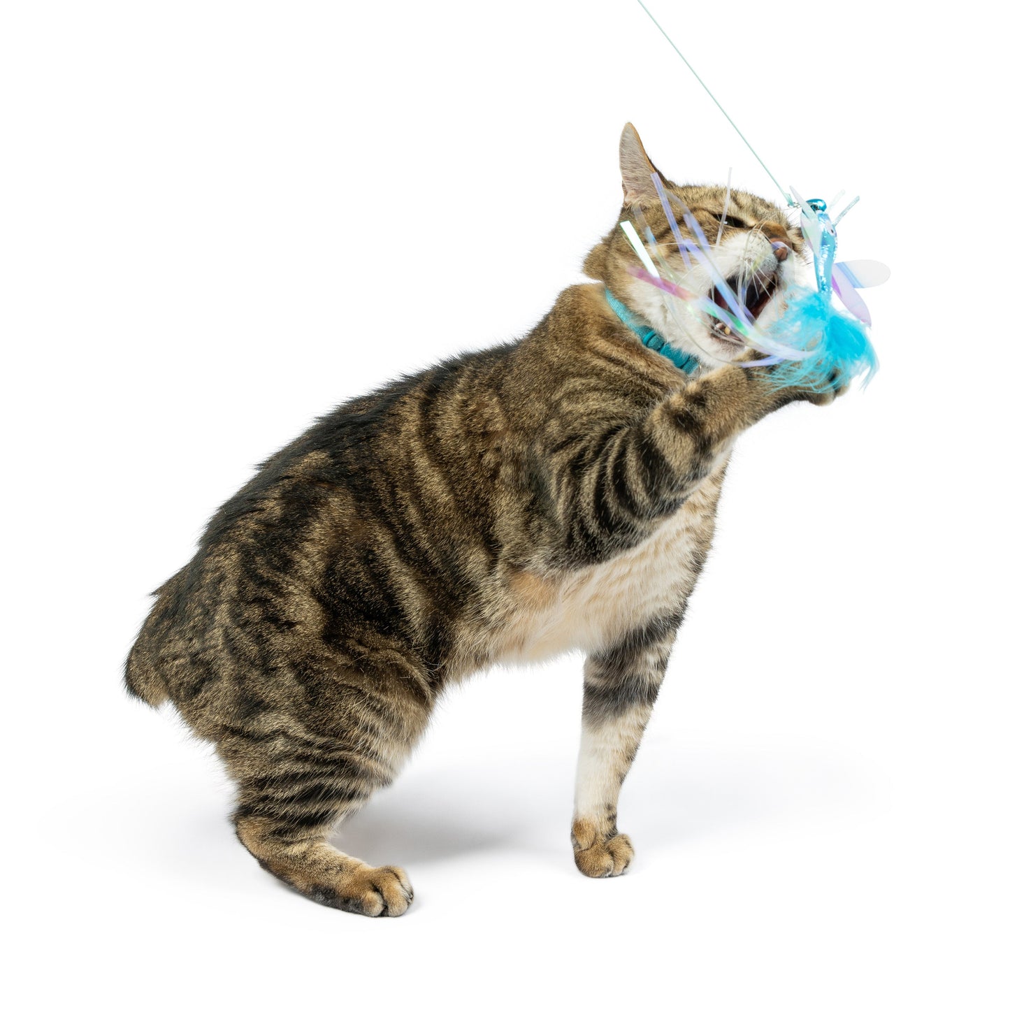 Wire Dragonfly & Mouse Wand Cat Toy