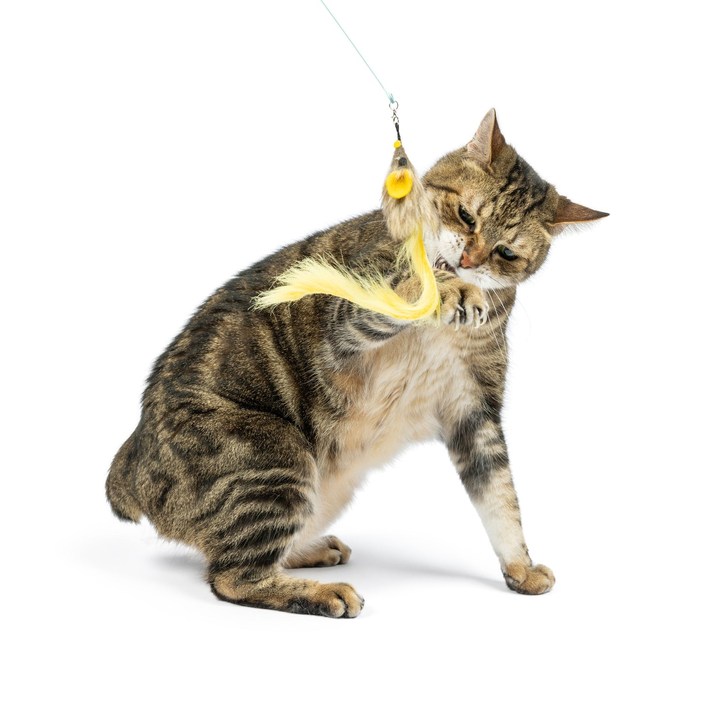 Wire Dragonfly & Mouse Wand Cat Toy