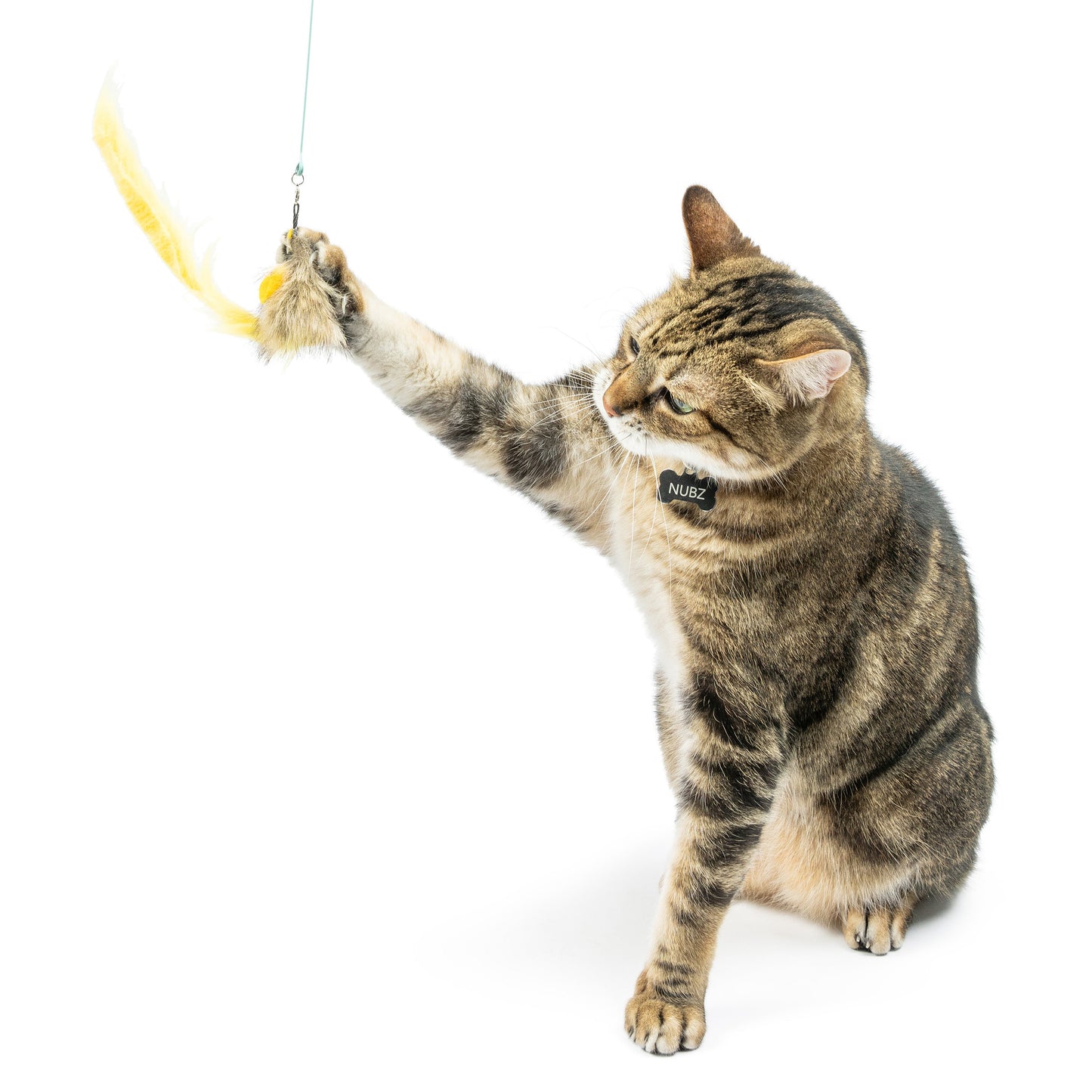 Wire Dragonfly & Mouse Wand Cat Toy