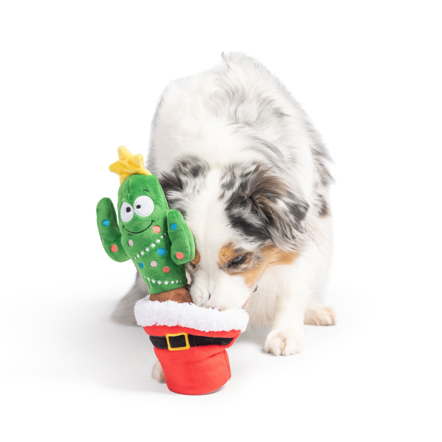 Seek 'n Treat Prickly & Bright Pawt Dog Toy