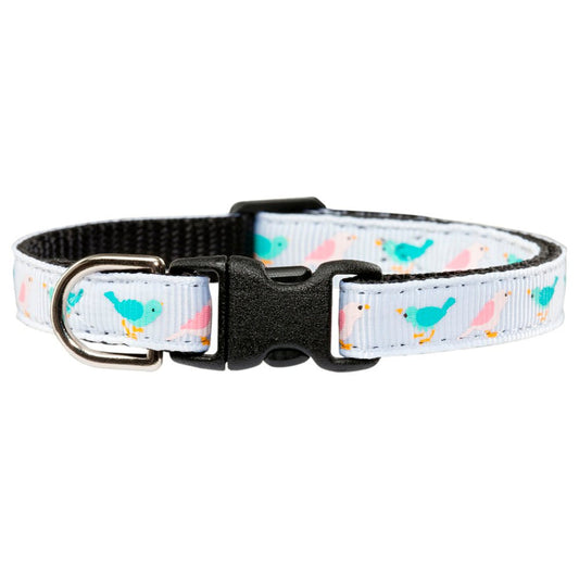 The Bird Whisperer - Collar