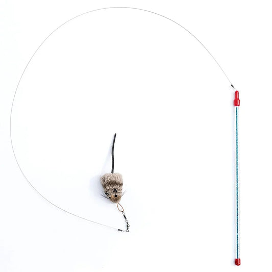 Cat Catcher with Wand