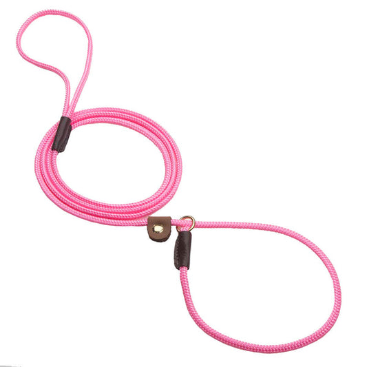 Slip w/Tab Show Leads/Leashes