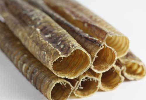 12" Beef Trachea (Bulk) -Pack of 25