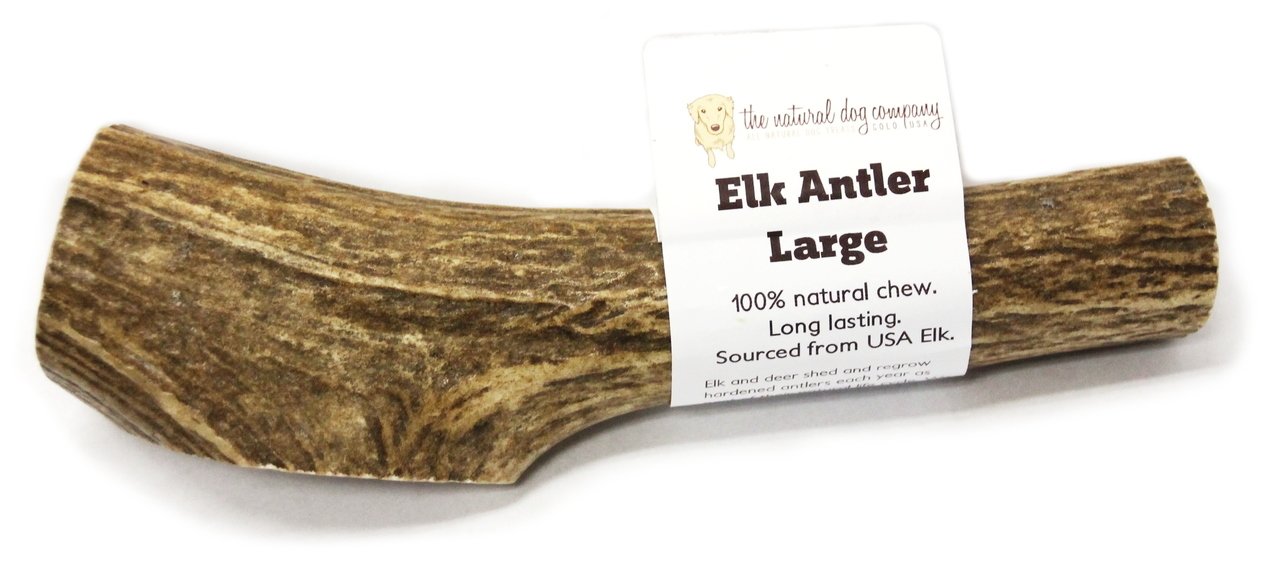 Elk Antler - Large Whole- EACH