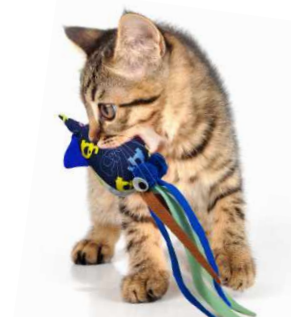 Cat Toys - Tenggo Squid and Crink-A-Fish