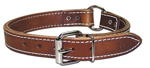 Brown leather dog collar with white stitching and silver buckle