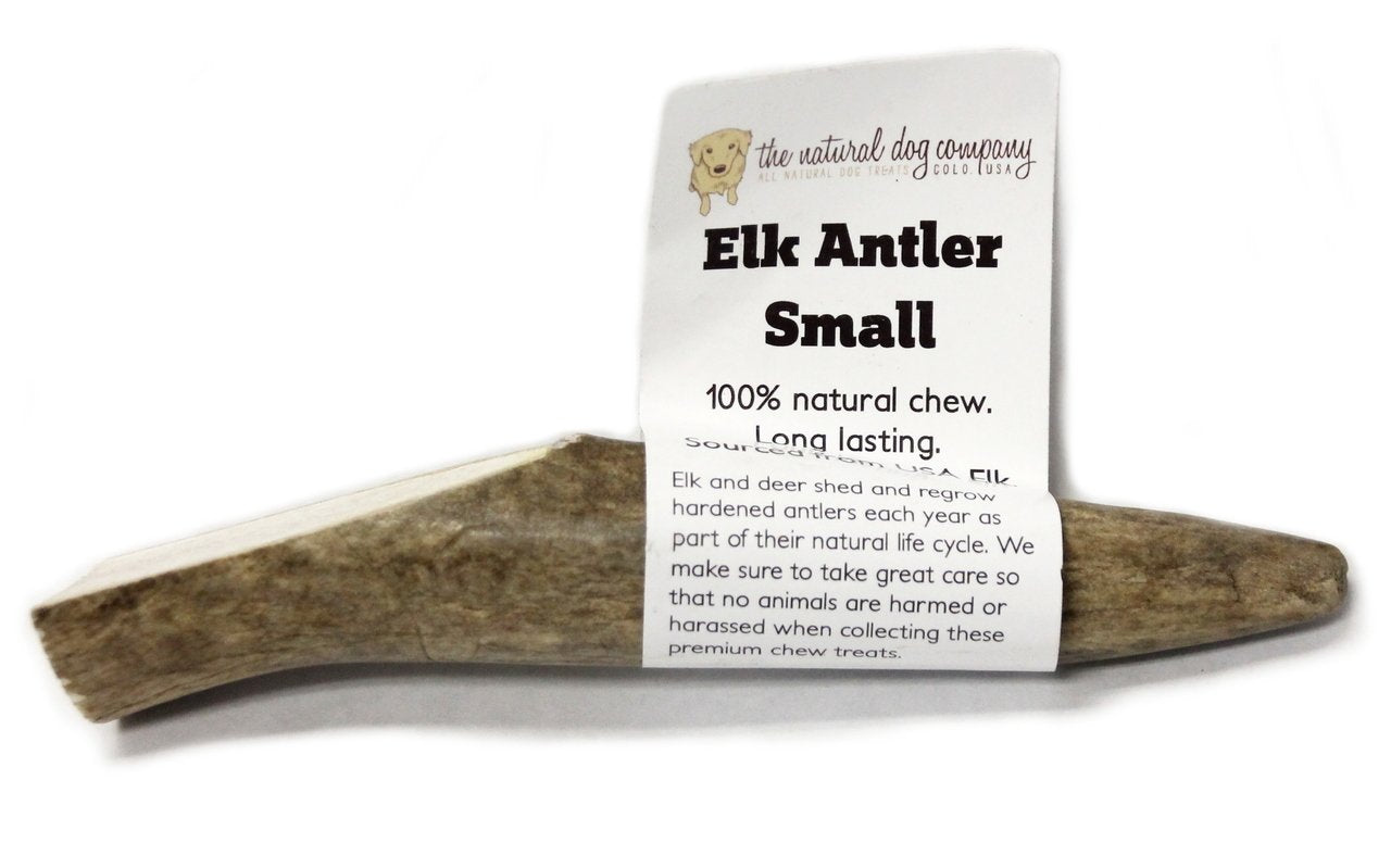 Elk Antler - Small Whole- EACH