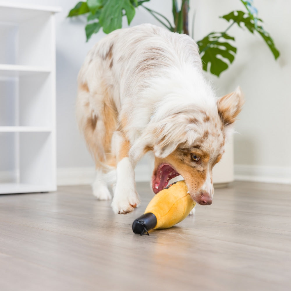 Bottle of Booz Dog Toy