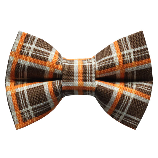 The Down to Earth - Bow Tie