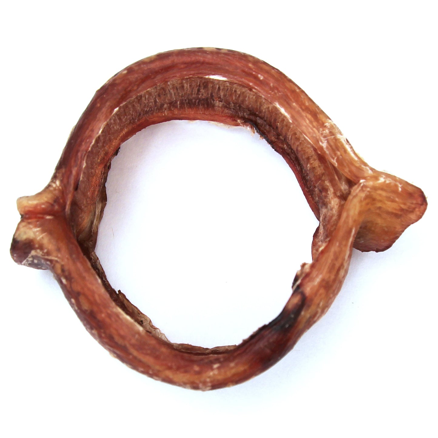 Bully Rings - Odor Free (Bulk) - Pack of 25