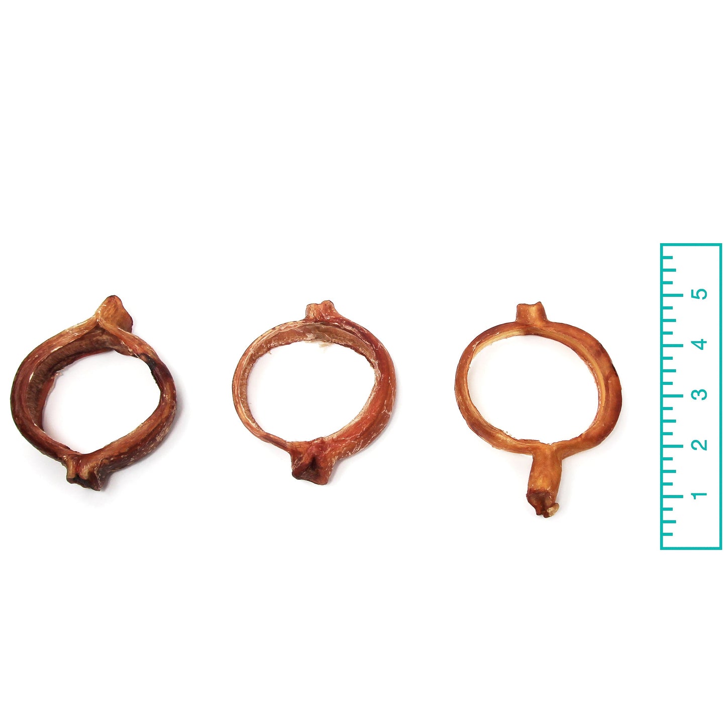 Bully Rings - Odor Free (Bulk) - Pack of 25