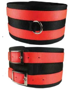 OverkillTM Nylon hog dog collars