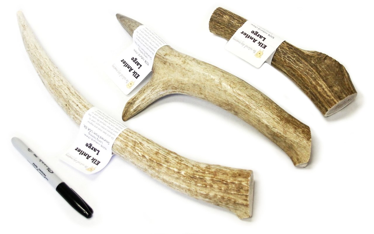 Elk Antler - Large Whole- EACH