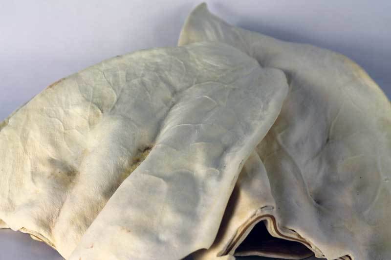 Cow Ears (Bulk) - Pack of 25