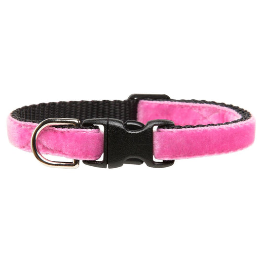 The Ringleader - Collar