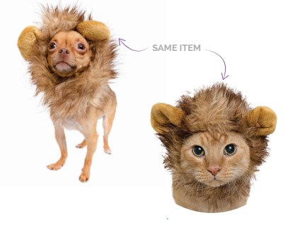 Lion Mane - Cat