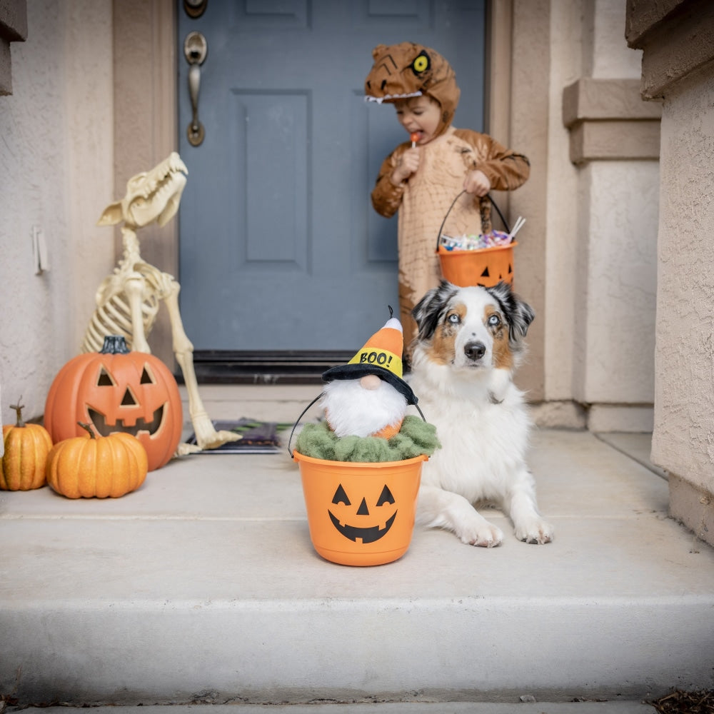Candy Corn Gnome Dog Toy