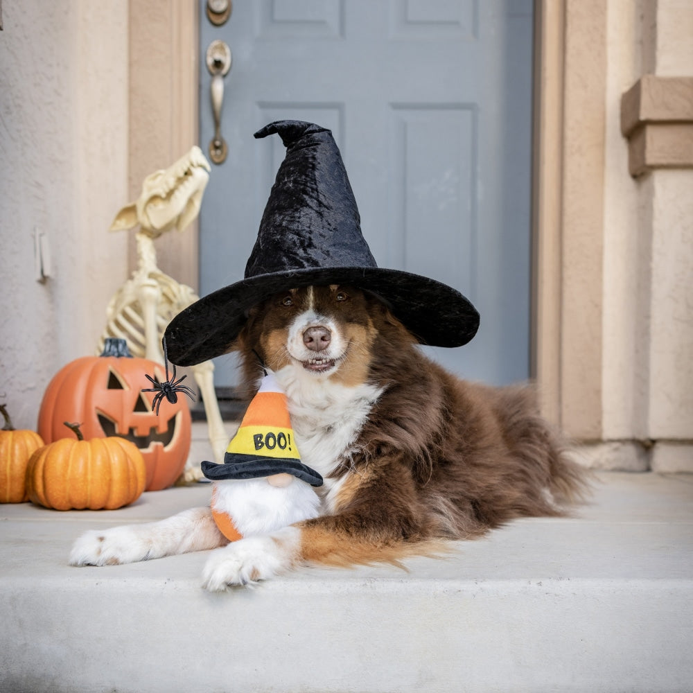 Candy Corn Gnome Dog Toy