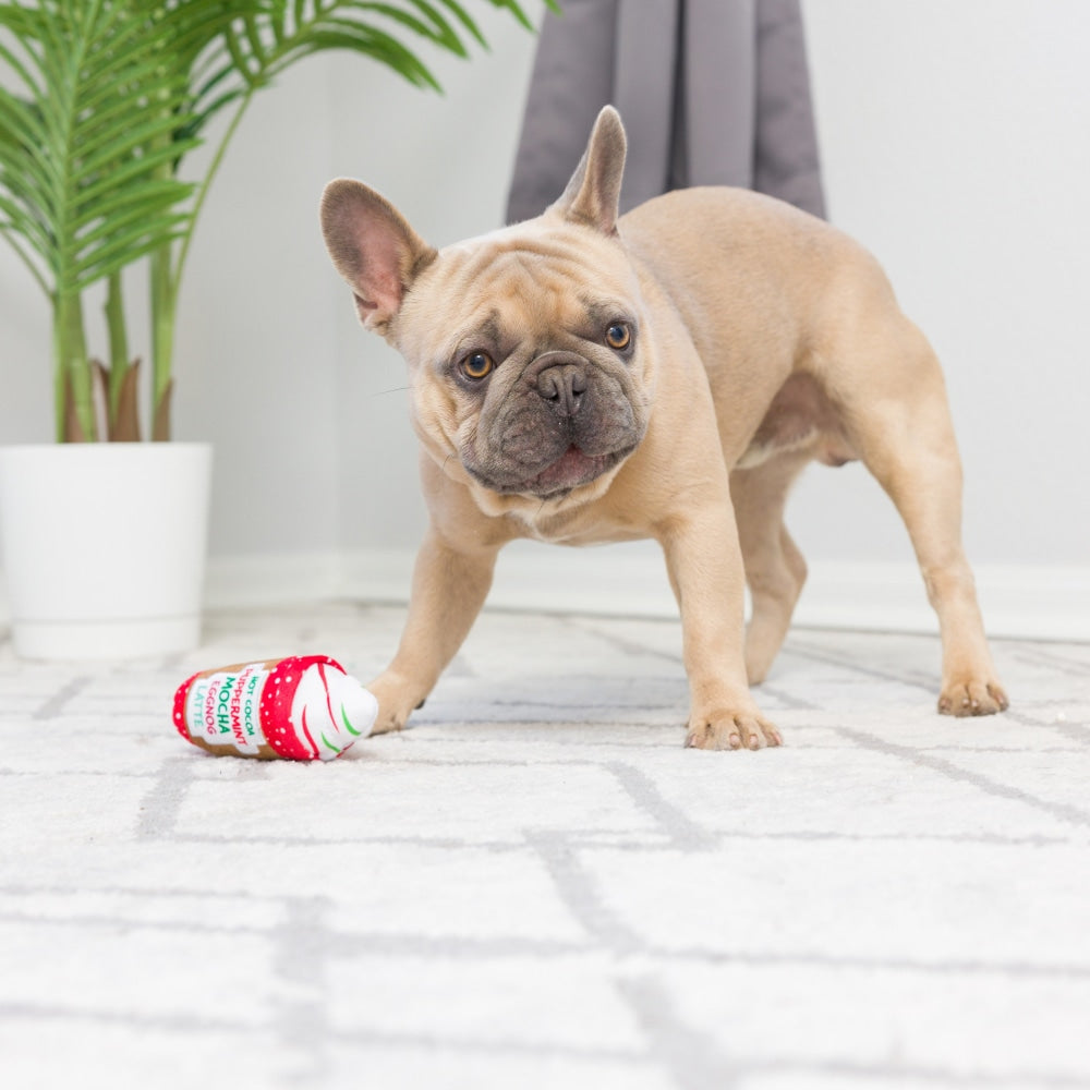 Tiny Tuff Christmas Treats 2pk