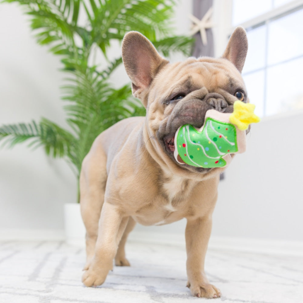 Tiny Tuff Christmas Treats 2pk