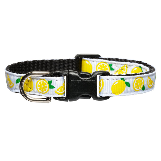 The Citrus Got Real Collar