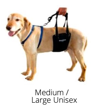 GingerLead- Dog Support & Rehabilitation Harnesses