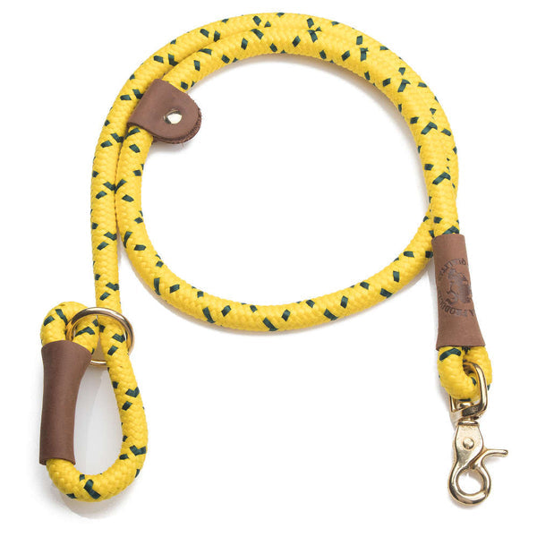 Quick Lead (Training Gear)