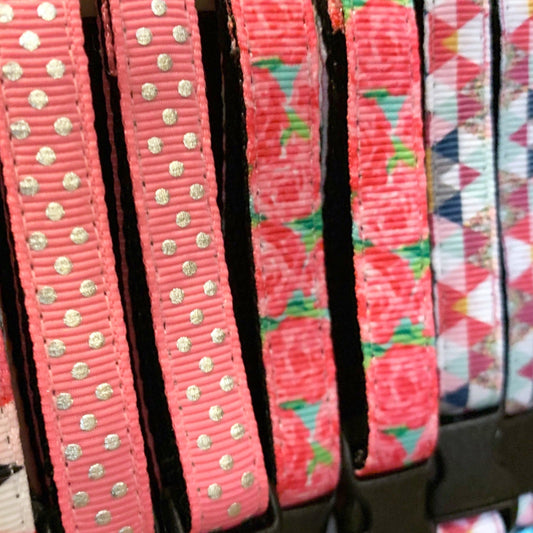 Assorted Collars