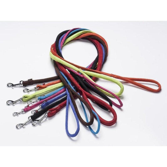 Assortment of colorful dog leashes with silver clasps