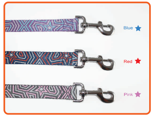 Dog Leash - Star Gazer Reflective