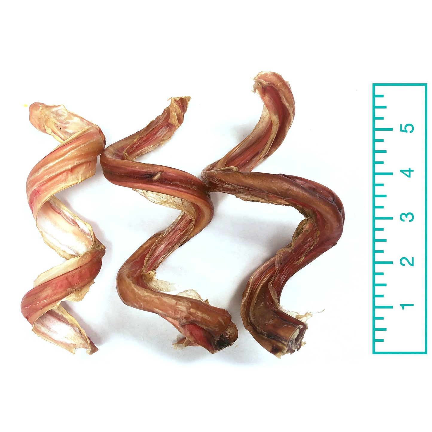 5" Curly Bully Sticks - Natural Scent (Bulk) - Pack of 25