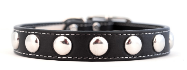SILVER STUDDED COLLARS