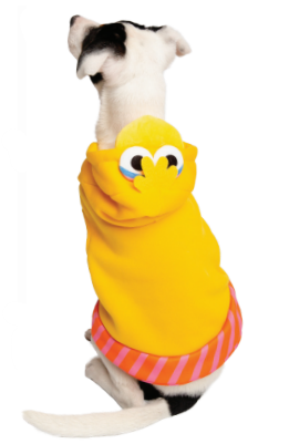 Big Bird Hoodie