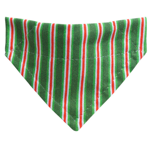 The Dasher - Cat Bandana